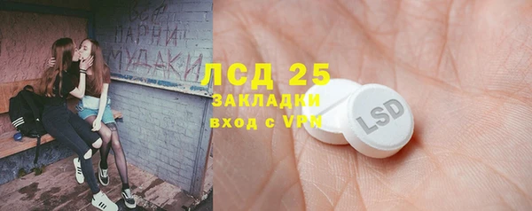 сатива Кинешма