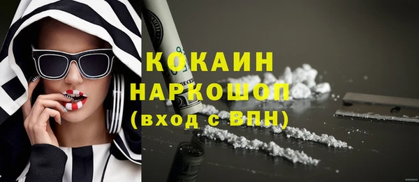 сатива Кинешма