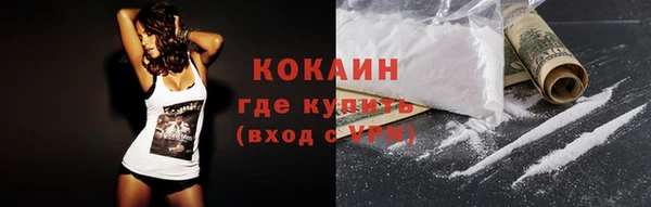 сатива Кинешма
