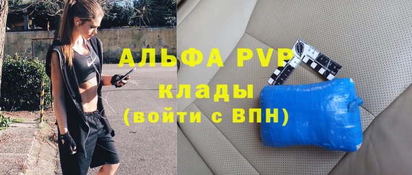 сатива Кинешма