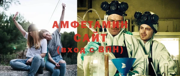 сатива Кинешма