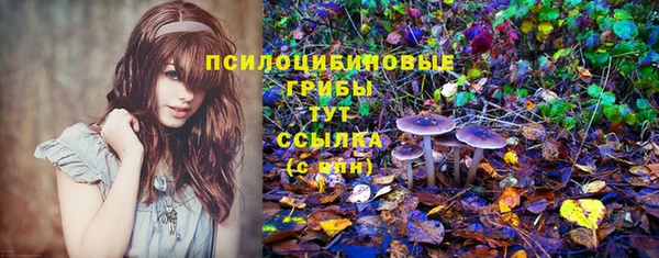 соль курить ск Киренск