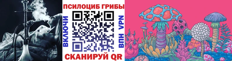 Купить закладки  Стрежевой  Псилоцибиновые грибы Cubensis 