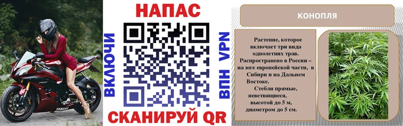 Марихуана сатива  Купить  Стрежевой 